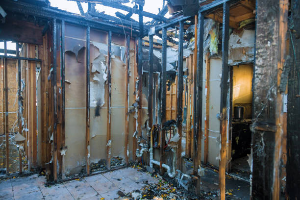 Professional Fire Damage Removal technician working in Olivarez, TX